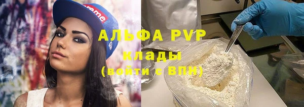 прущие грибы Майский