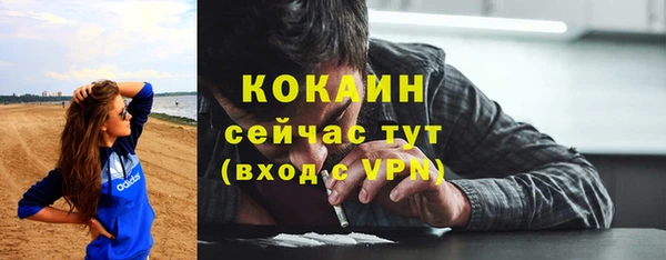 прущие грибы Майский
