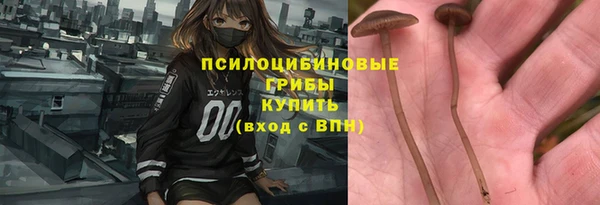 прущие грибы Майский