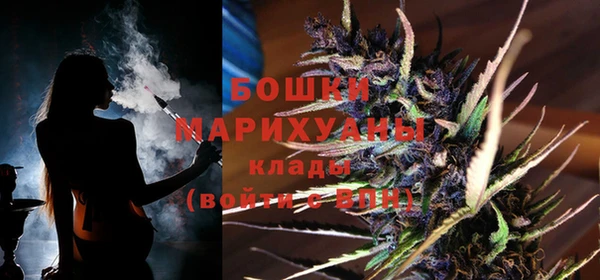 прущие грибы Майский