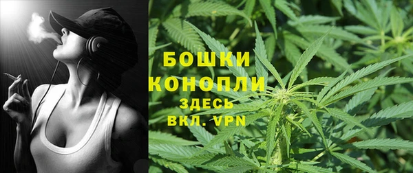 прущие грибы Майский