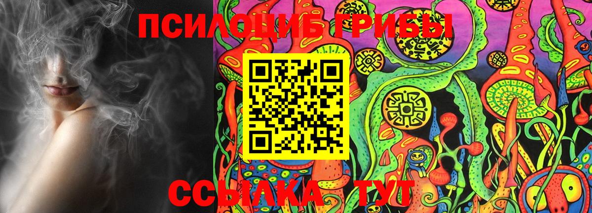 Псилоцибиновые грибы ЛСД  Чапаевск  как найти закладки  Псилоцибиновые грибы Psilocybine cubensis 