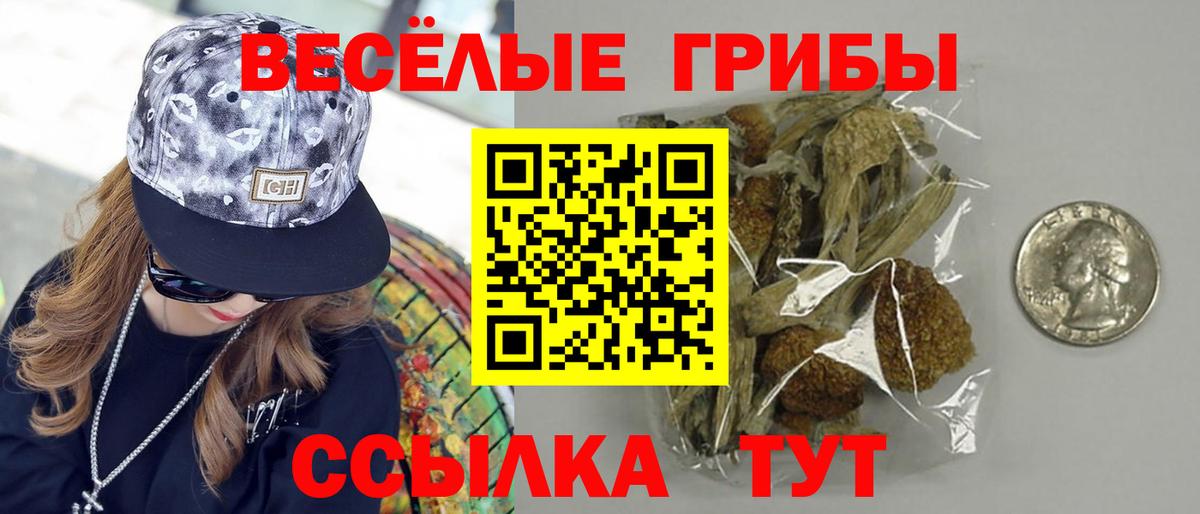 Галлюциногенные грибы мицелий  Вход с VPN  Чапаевск  Псилоцибиновые грибы GOLDEN TEACHER 