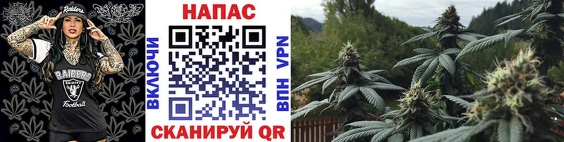 Бошки Шишки MAZAR  Чапаевск 
